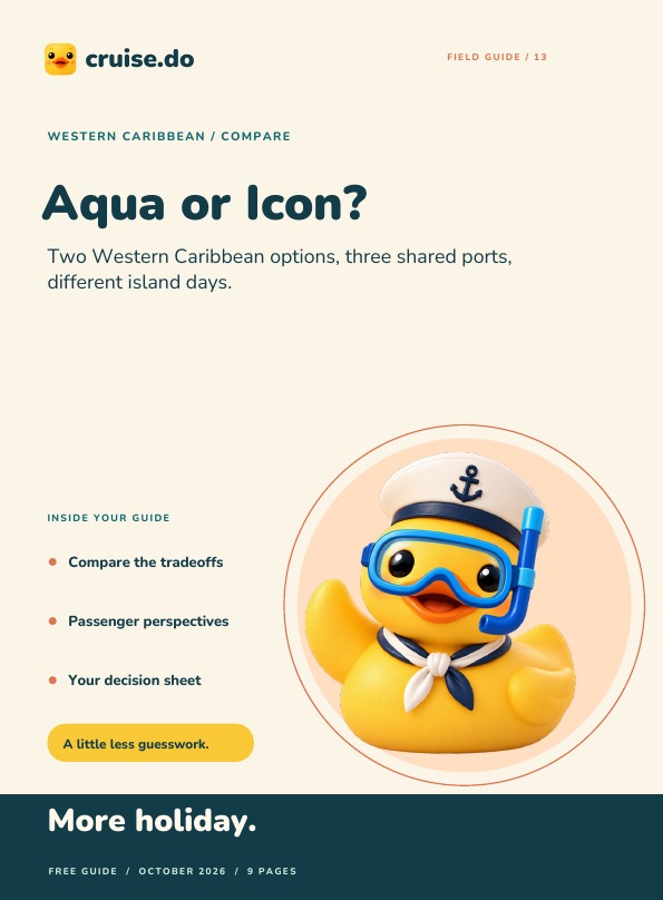 Cover of Aqua or Icon?